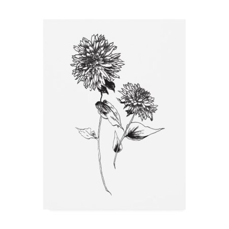 Trademark Fine Art Wild Apple Portfolio 'Sketchbook Flowers on White IV' Canvas Art, 24x32 WAP11967-C2432GG